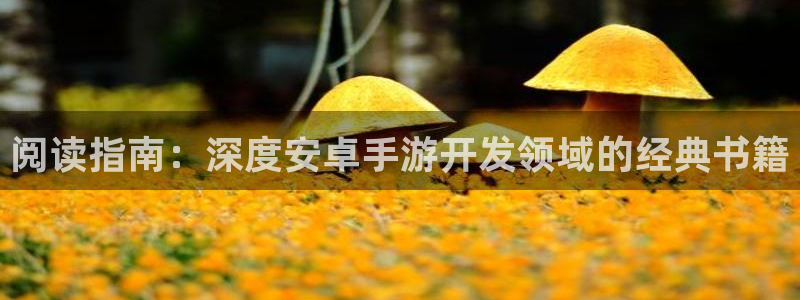 摩根娱乐是正规公司吗还是私企：阅读指南：深度安卓手游开发领域