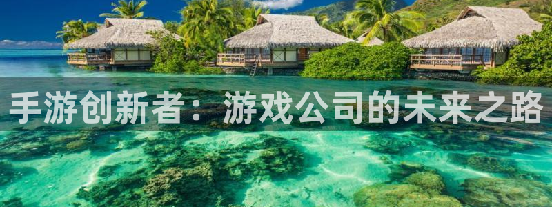 摩根娱乐app下载安装苹果：手游创新者：游戏公司的未来之路