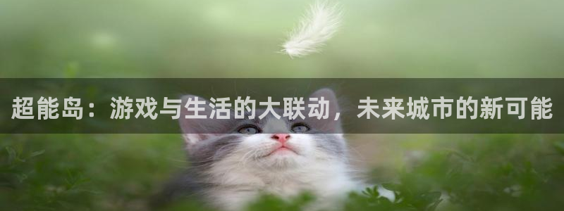 摩根娱乐是个什么平台啊知乎:超能岛:游戏与生活的大联动,未来