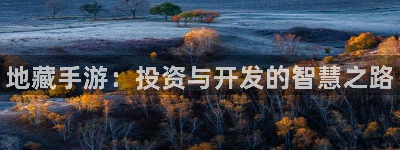 摩根娱乐app下载官网苹果:地藏手游:投资与开发的智慧之路