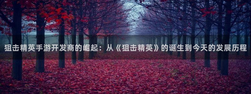 摩根娱乐app下载安装：狙击精英手游开发商的崛起：从《狙击精