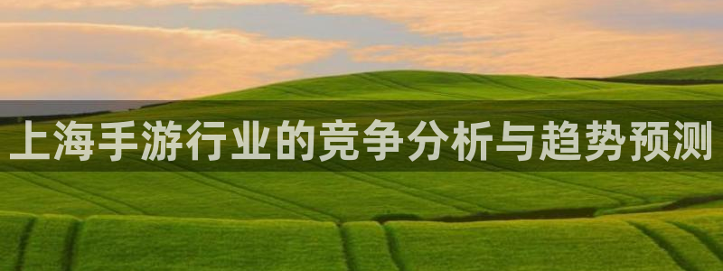 摩根娱乐官网入口网站：上海手游行业的竞争分析与趋势预测