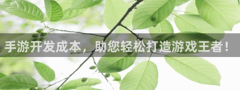 摩根娱乐首页：手游开发成本，助您轻松打造游戏王者！