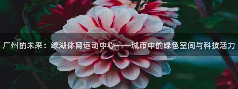 米兰体育登录：广州的未来：绿湖体育运动中心——城市中的绿色空间与科技活力