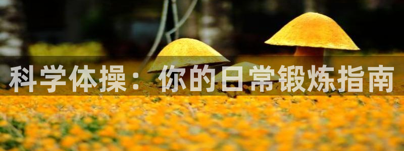 米兰体育场：科学体操：你的日常锻炼指南