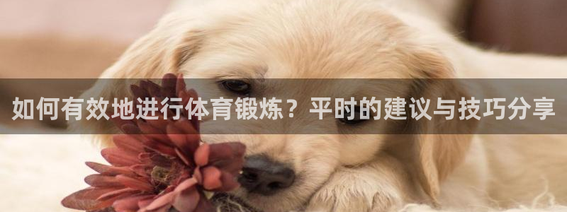 米兰体育.：如何有效地进行体育锻炼？平时的建议与技巧分享
