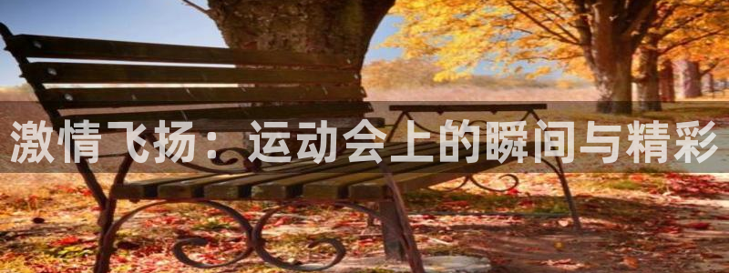 米兰体育网页版：激情飞扬：运动会上的瞬间与精彩