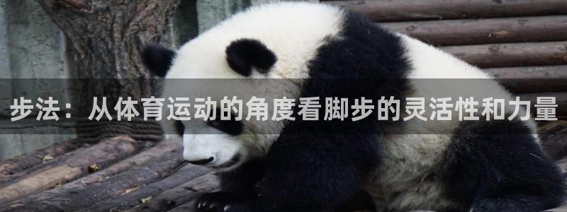 米兰体育在线：步法：从体育运动的角度看脚步的灵活性和力量