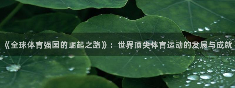 米兰体育官方下载入口：《全球体育强国的崛起之路》：世界顶尖体育运动的发展与成就