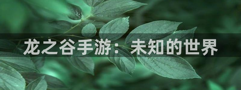 摩根娱乐官网：龙之谷手游：未知的世界